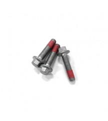 Hexagon screw 20405560
